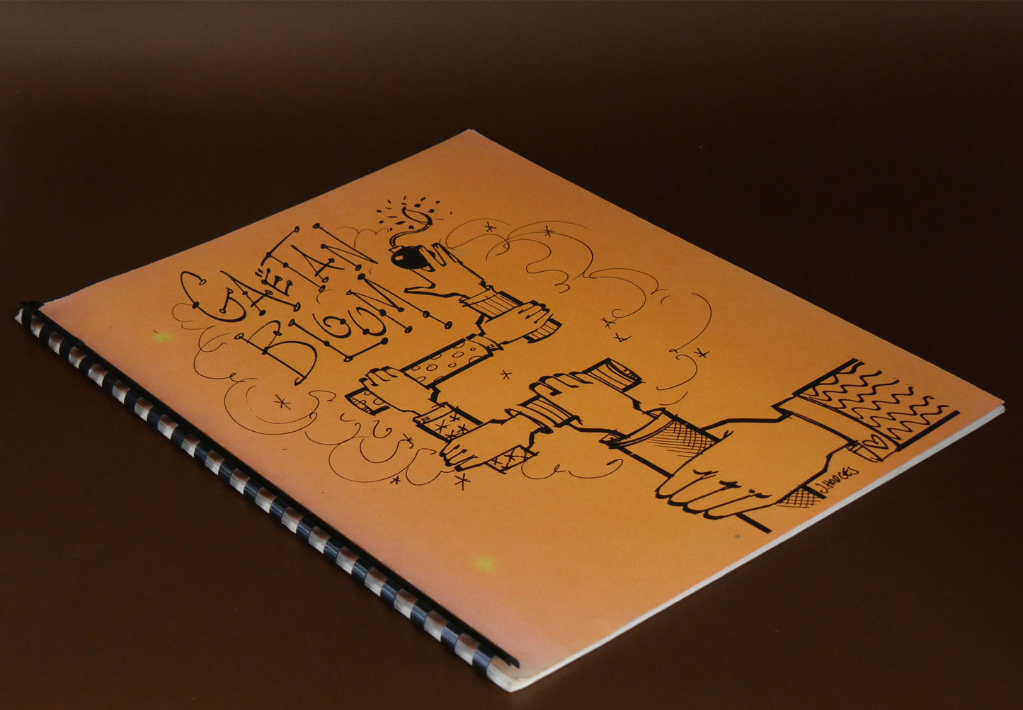 Gaetan Bloom Lecture Note (1997)