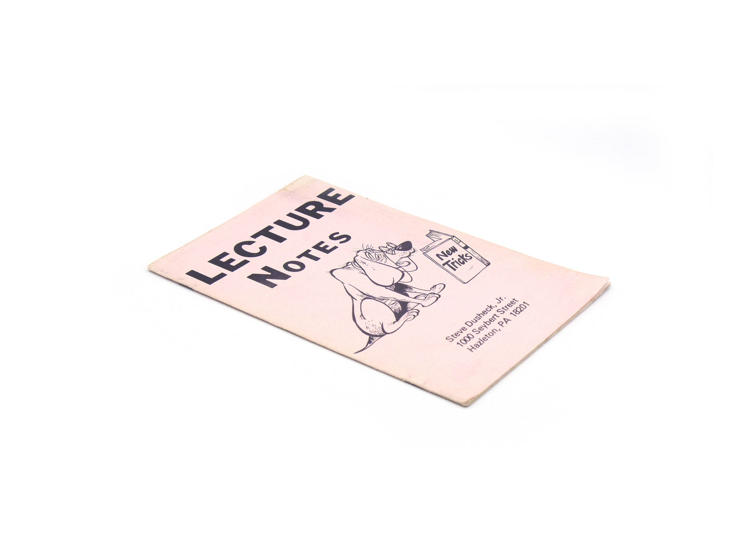 Lecture Notes by Steve Dusheck (1980)